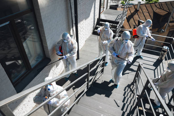 Best Mold Prevention Services  in Camp Verde, AZ