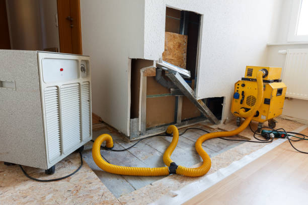 Best Emergency Mold Remediation  in Camp Verde, AZ