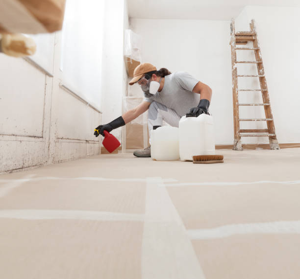 Best Indoor Air Quality Assessment  in Camp Verde, AZ